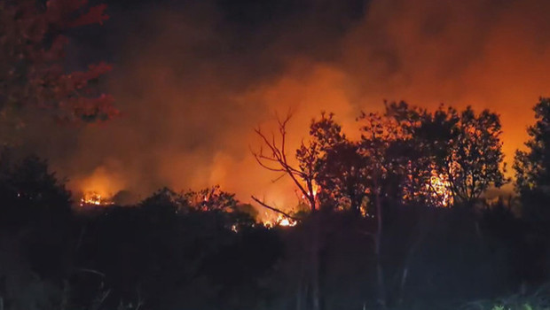 Beykoz’da orman yangını: Alevler kontrol altına alındı
