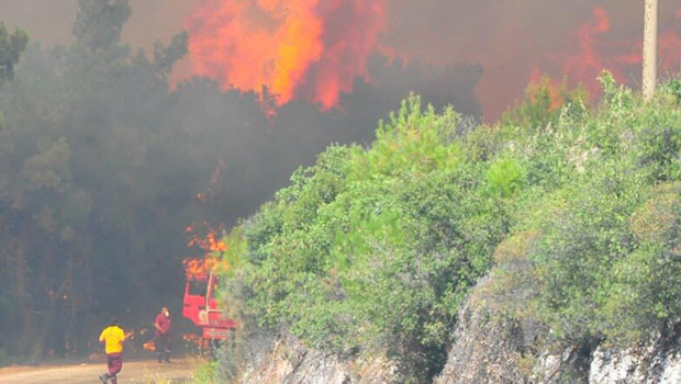 Beykoz’da ormanlık alanda yangın