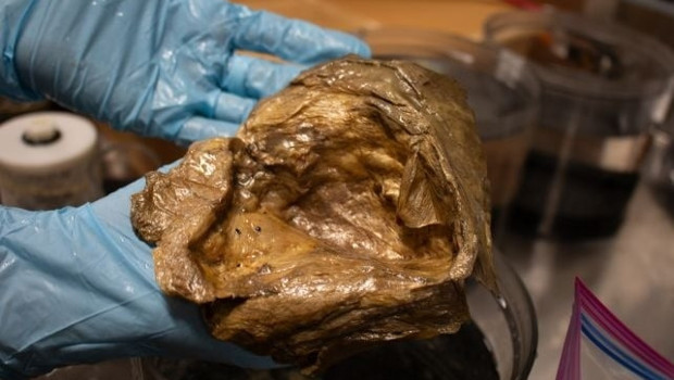 Denizin dibindeki altın kürenin sırrı çözüldü