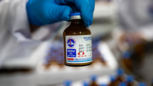 Güney Afrika, şap salgınına karşı Türkiye’den 2 milyon doz aşı temin etti