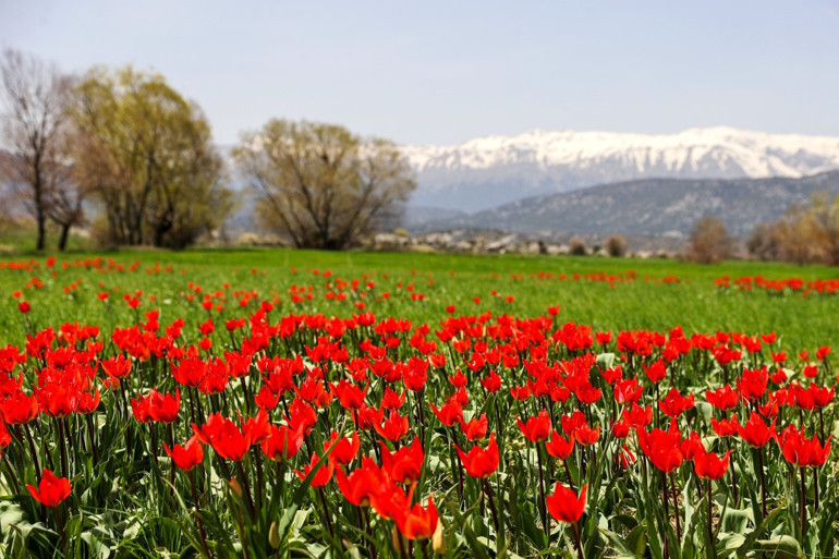 Hayran bırakan manzaralar 2 mevsimin güzelliği bir arada