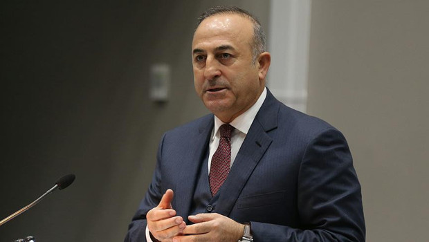 Mevlüt Çavuşoğlu: Çok kısa bir zamanda 613 milyon ağacın kesilmesini önledik