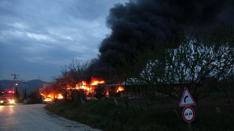 Samsunda meyve deposunda yangın: Ekipler müdahale ediyor