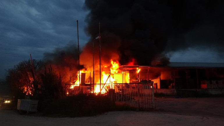 Samsunda meyve deposunda yangın: Ekipler müdahale ediyor