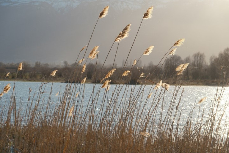 Türkiyedeki en önemli yerlerden biri: Yıllar sonra bir ilk yaşandı