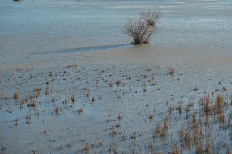 Türkiyedeki en önemli yerlerden biri: Yıllar sonra bir ilk yaşandı