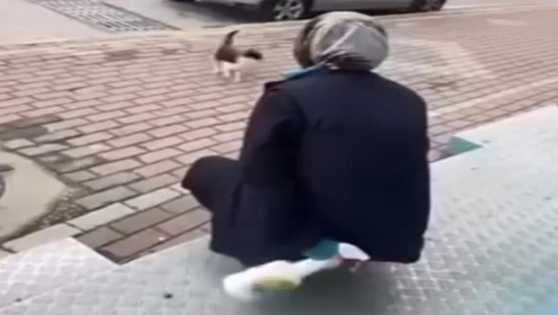 Tepki çeken görüntüler! Kediyi yanına çağırıp yüzüne yağ çözücü sprey sıkmıştı… Adli kontrol şartıyla serbest bırakıldı