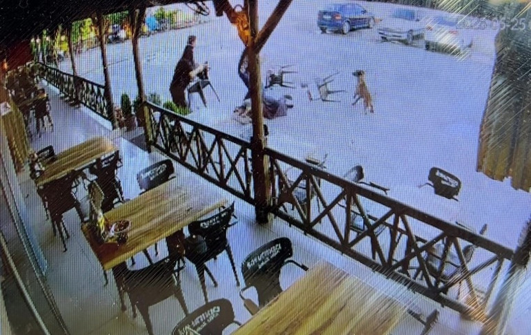 Afyonkarahisarda köpek saldırısında kadının kolu koptu