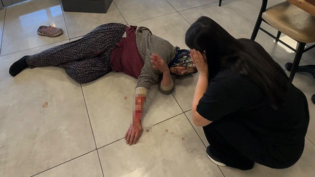 Afyonkarahisar'da köpek saldırısında kadının kolu yaralandı