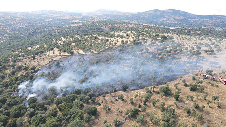 Çanakkalede zirai arazi yangını: Havadan ve karadan müdahale ediliyor