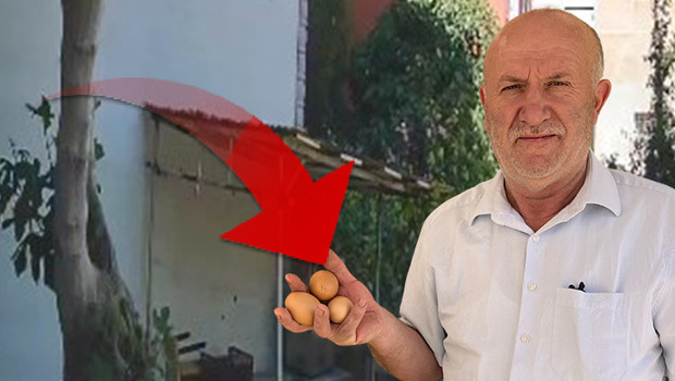 ‘Delil var ama polise gidemiyoruz’ | Sürekli aynısı oluyordu: Kamera kurunca hayrete düştü!