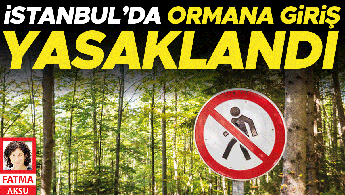 İstanbul’da ormana giriş yasaklandı 2 İstanbul’da ormana giriş yasaklandı