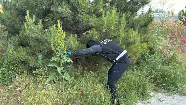 Kütahya’da şüpheli otomobil Polisi görünce uyuşturucuyu otların arasına gizlediler