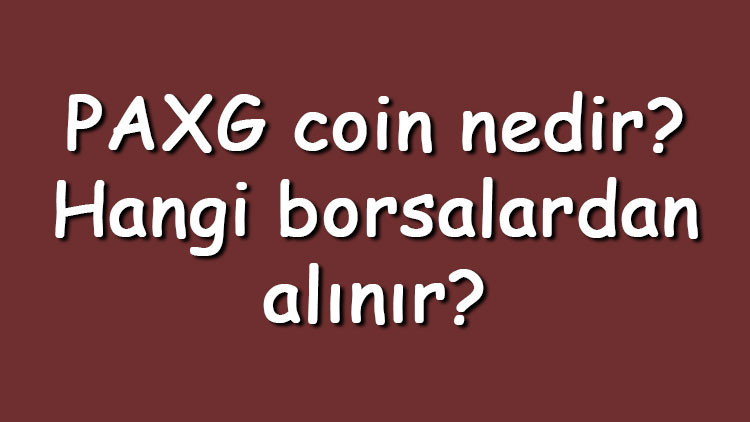 PAXG coin nedir? Hangi borsalardan alınır? PAX Gold ne zaman çıktı? Ne iş yapar? 2 PAXG coin nedir? Hangi borsalardan alınır? PAX Gold ne zaman çıktı? Ne iş yapar?