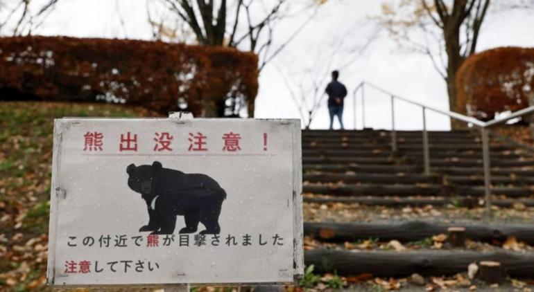 Şehir merkezine indi, tam 94 okul birden kapatıldı! Japonya'da ayı alarmı 5 Şehir merkezine indi, tam 94 okul birden kapatıldı! Japonya'da ayı alarmı