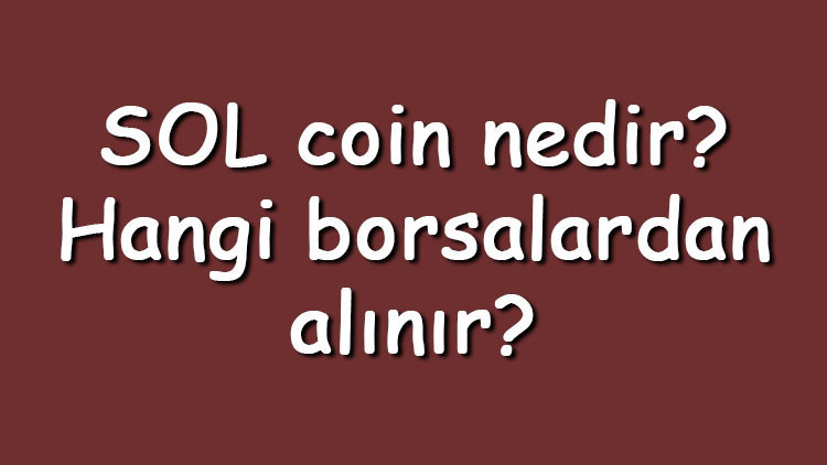 SOL coin nedir? Hangi borsalardan alınır? Solana ne zaman çıktı? Ne iş yapar? 2 SOL coin nedir? Hangi borsalardan alınır? Solana ne zaman çıktı? Ne iş yapar?