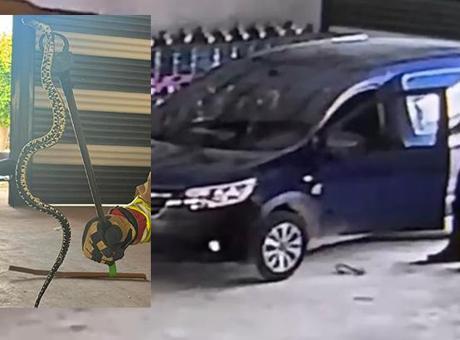 Yer: Hatay! Hafif ticari araca giren yılan paniğe neden oldu