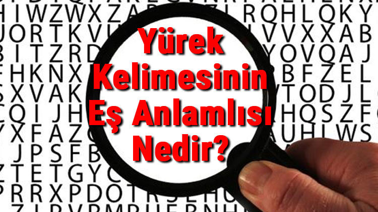Yürek Kelimesinin Eş Anlamlısı Nedir? 2 Yürek Kelimesinin Eş Anlamlısı Nedir?