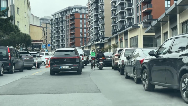 Yürek sızlatan görüntü Motosiklete bağladığı köpeği metrelerce koşturdu: 8 bin 678 lira ceza kesildi