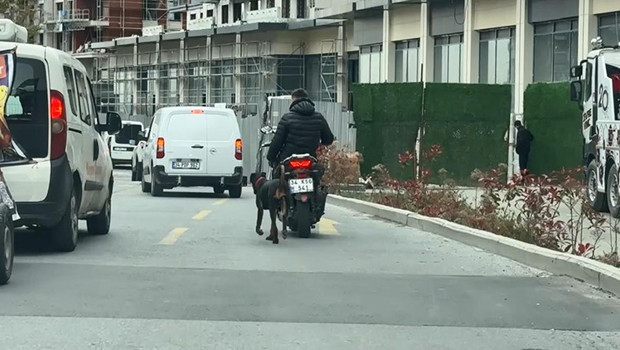Yürek sızlatan görüntü! Motosiklete bağladığı köpeği metrelerce koşturdu: 8 bin 678 lira ceza kesildi