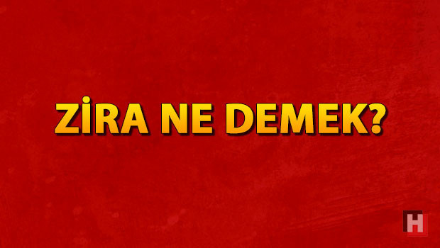 Zira ne demek? Zira nedir? Zira TDK kelime anlamı