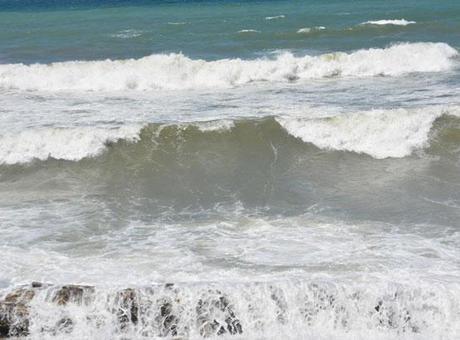 Beykoz ve Sarıyer'de yarın denize girilmesine izin verilmeyecek