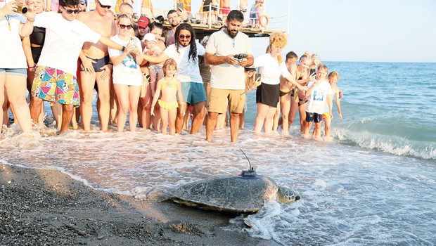Engelli caretta takipte