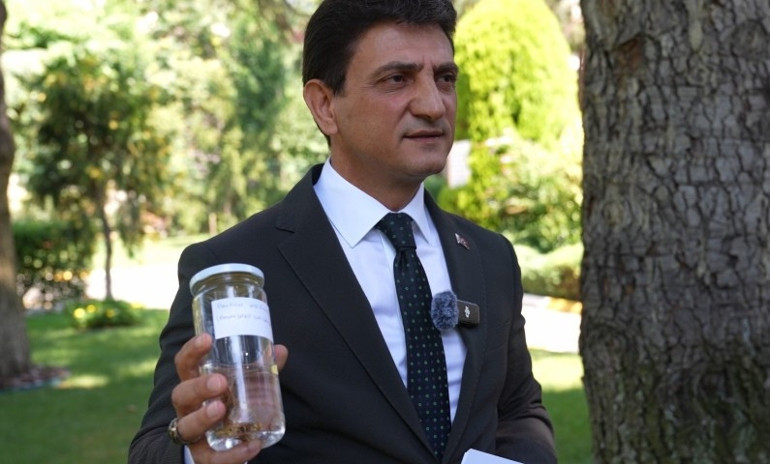 İstanbul’da çekirge istilası var mı İstanbul İl Tarım ve Orman Müdürü Parıldardan açıklama geldi