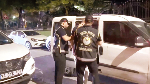 Köstebeklerin milyarlık ağı