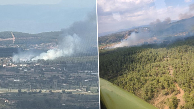 Muğla’da orman yangını: Alevlerle mücadele başladı