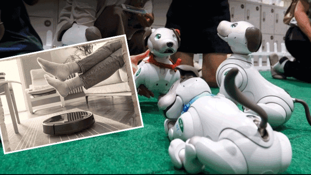 Robot süpürgeler geçmişte kaldı: Yeni asistanlar tehlikeli olabilir
