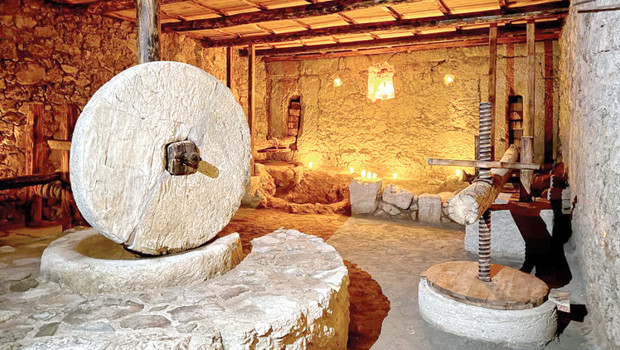 Syedra’nın zeytinyağı