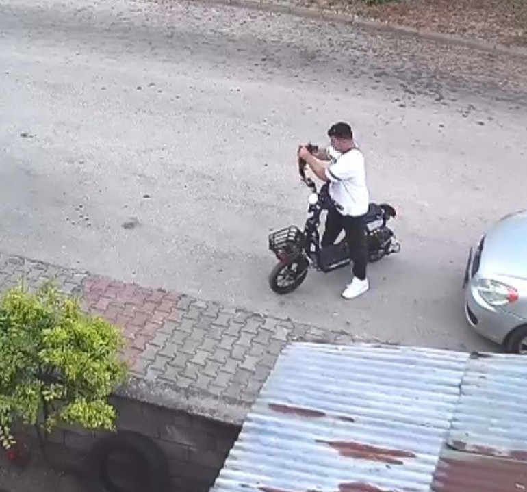 Yavru kediyi öpüp boğmuştu, gözaltına alındı