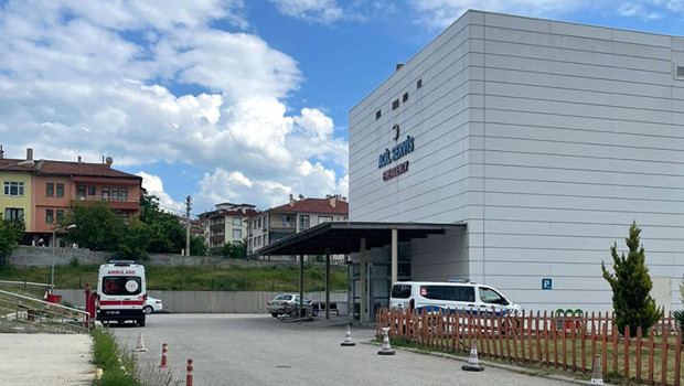 Dağda ağaç keserken arı soktu: 65 yaşındaki işçi hayatını kaybetti