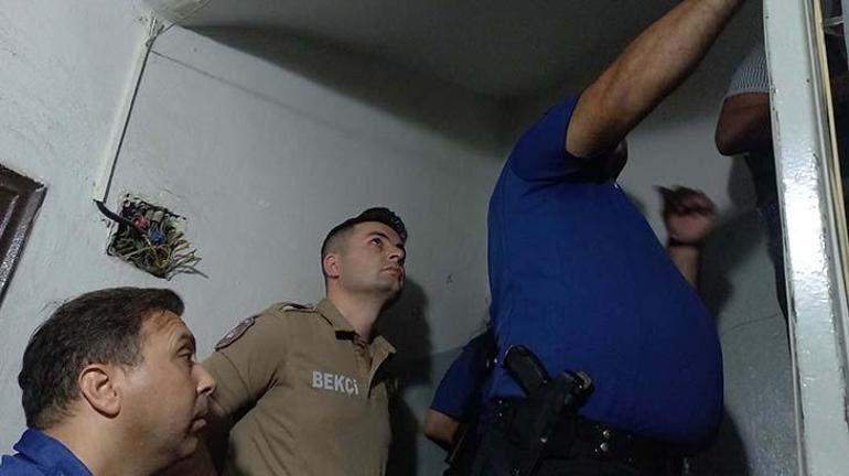Komşusunun kapısını matkapla deldi! Yaşadığı korkuyu böyle anlattı: Evden çıkamaz hale geldiler 3 Komşusunun kapısını matkapla deldi! Yaşadığı korkuyu böyle anlattı: Evden çıkamaz hale geldiler