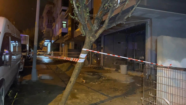 Küçükçekmece’de elektrik akımına kapılan köpek öldü