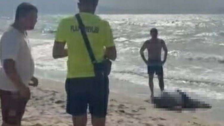 Kuşadası'nda acı son: Yattan denize düşen iş insanı sahilde ölü bulundu 2 Kuşadası'nda acı son: Yattan denize düşen iş insanı sahilde ölü bulundu