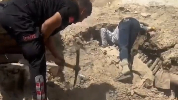 Nusaybin’de metruk ev çöktü; 5 yavru köpek ve anneleri kurtarıldı
