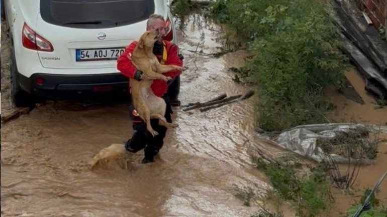 Sakarya’da sel felaketi: Dere yatakları taştı, evleri su bastı… Bakan Çiftçiden açıklama... Bazı okullarda eğitime bir gün ara