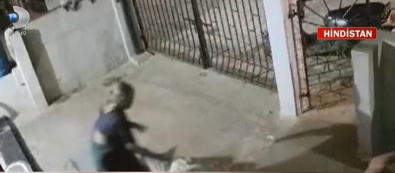 Saldırgan maymun kadını böyle öldürdü