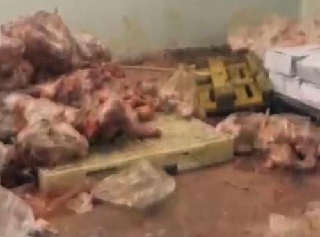 Yakalanmasalardı vatandaşa yedireceklerdi! Başkentte 104 ton bozuk et ele geçirildi