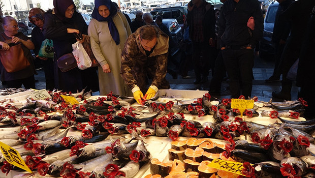Karadeniz’de palamut bolluğu: Tanesi 125 liradan satılıyor, balıkçılar uyarıyor