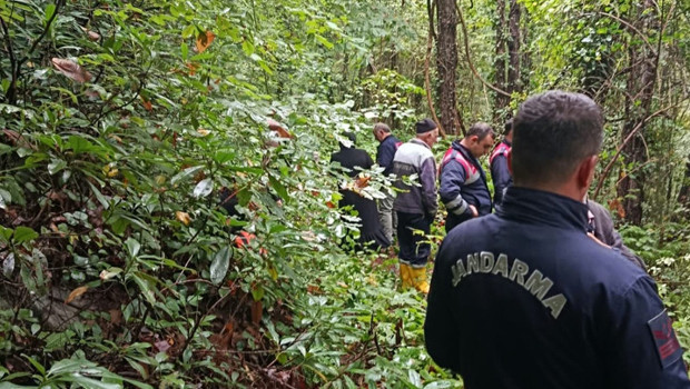 Sapanca’da kestane toplamak için gittiği ormanda cansız bedeni bulundu